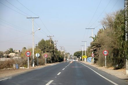 Road to Azapa. - Chile - Others in SOUTH AMERICA. Photo #50410