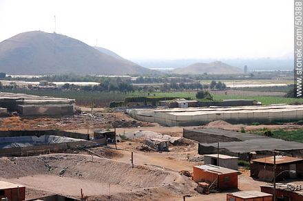 Valle de Azapa. Región agrícola de Arica. Preparación de terreno a ser cultivado. Alto de Ramírez. - Chile - Otros AMÉRICA del SUR. Foto No. 50388