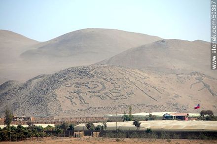 Geoglyphs in the Valley of Azapa - Chile - Others in SOUTH AMERICA. Photo #50387