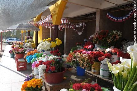 Florists outside Azapa Cemetery. - Chile - Others in SOUTH AMERICA. Photo #50326