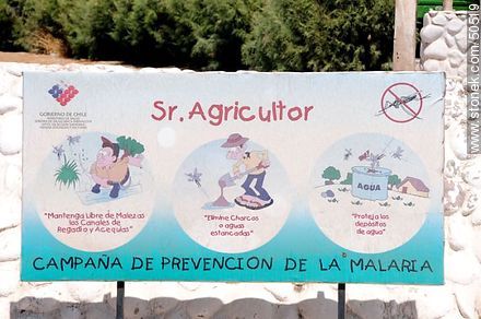 Campaña de prevención de la malaria - Chile - Otros AMÉRICA del SUR. Foto No. 50519