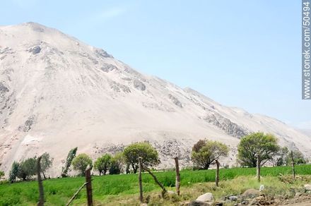 Cultivos del Valle de Lluta. - Chile - Otros AMÉRICA del SUR. Foto No. 50494