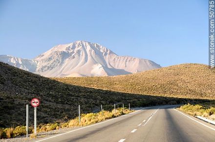Volcán Tarapacá. Ruta 11 hacia Bolivia. Altitud: 4000m - Chile - Otros AMÉRICA del SUR. Foto No. 50785
