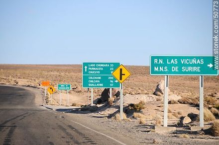 Detour to R.N. Las Vicuñas, M.N.S de Surire, Colchane, Chilcaya and Guallatire.  Choquelimpie Mine. - Chile - Others in SOUTH AMERICA. Photo #50773