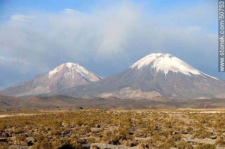 Pomerape and Parinacota volcanoes in the mountains of Nevados de Payachatas - Chile - Others in SOUTH AMERICA. Photo #50753