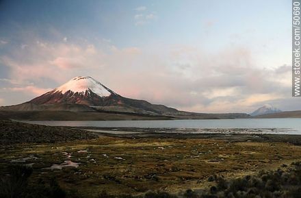 The volcano Parinacota of Nevados de Payachata, and Lake Chungará. View Altitude: 4580m - Chile - Others in SOUTH AMERICA. Photo #50690