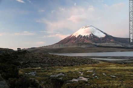 The volcano Parinacota of Nevados de Payachata, and Lake Chungará. View Altitude: 4580m - Chile - Others in SOUTH AMERICA. Photo #50689
