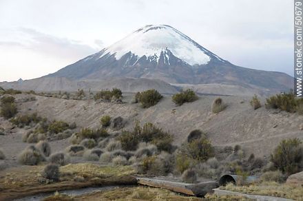 Parinacota volcano - Chile - Others in SOUTH AMERICA. Photo #50679