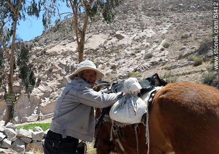 Campesino putreño - Chile - Otros AMÉRICA del SUR. Foto No. 51412