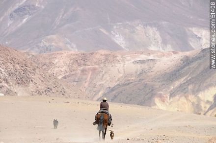 Rider through the desert with his dogs - Chile - Others in SOUTH AMERICA. Photo #51408