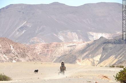 Jinete por el desierto con sus perros - Chile - Otros AMÉRICA del SUR. Foto No. 51406