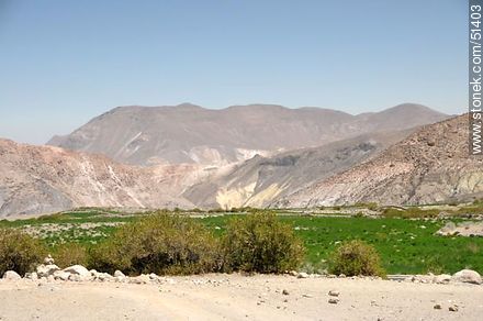 Valle de Putre dedicado al cultivo - Chile - Otros AMÉRICA del SUR. Foto No. 51403