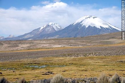 Volcanes Pomerape y Parinacota de la cadena de Nevados de Payachatas. - Chile - Otros AMÉRICA del SUR. Foto No. 51613