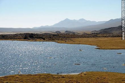 Laguna próxima al pueblo Parinacota. Altitud: 4444m. - Chile - Otros AMÉRICA del SUR. Foto No. 51605