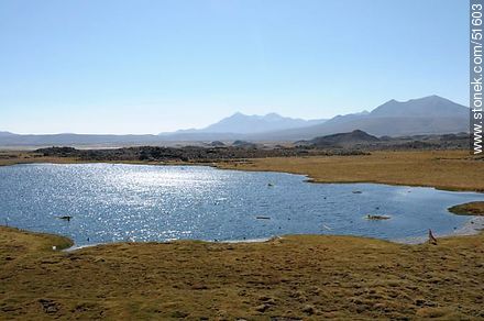 Laguna próxima al pueblo Parinacota - Chile - Otros AMÉRICA del SUR. Foto No. 51603