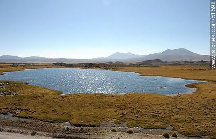 Laguna próxima al pueblo Parinacota - Chile - Otros AMÉRICA del SUR. Foto No. 51598