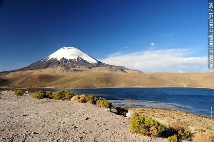 Parinacota volcano, lake Chungará. - Chile - Others in SOUTH AMERICA. Photo #51764