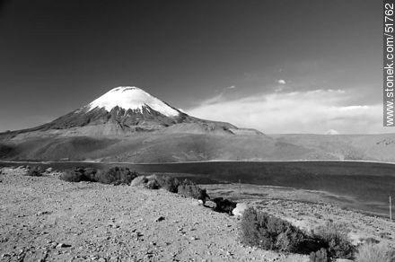Parinacota volcano, lake Chungará. -  - MORE IMAGES. Photo #51762