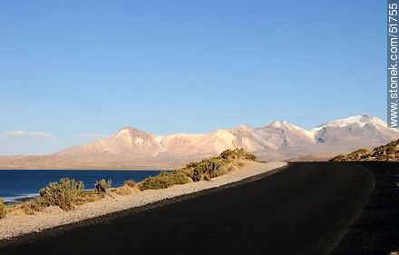 Lake Chungará and Nevados de Quimsachata. Route 11 in Chile. - Chile - Others in SOUTH AMERICA. Photo #51755