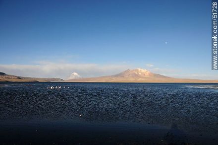 Lake Chungará, flamingos, volcanos Sajama and Quisiquisini. - Chile - Others in SOUTH AMERICA. Photo #51728