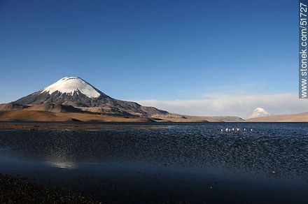 Volcán Parinacota.  Volcán Sajama, lago Chungará. - Chile - Otros AMÉRICA del SUR. Foto No. 51727