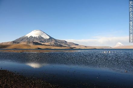 Volcán Parinacota.  Volcán Sajama, lago Chungará. - Chile - Otros AMÉRICA del SUR. Foto No. 51726