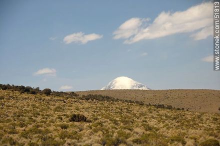 Sajama National Park. - Bolivia - Others in SOUTH AMERICA. Photo #51813