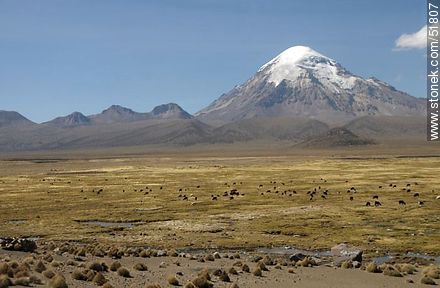 Parque Nacional Sajama. Volcán o Nevado Sajama. - Bolivia - Otros AMÉRICA del SUR. Foto No. 51807