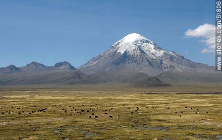 Parque Nacional Sajama. Volcán o Nevado Sajama. - Bolivia - Otros AMÉRICA del SUR. Foto No. 51806