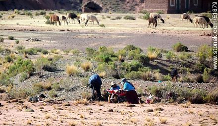 Campesinos bolivianos a la vera del camino con su perro - Bolivia - Otros AMÉRICA del SUR. Foto No. 51879