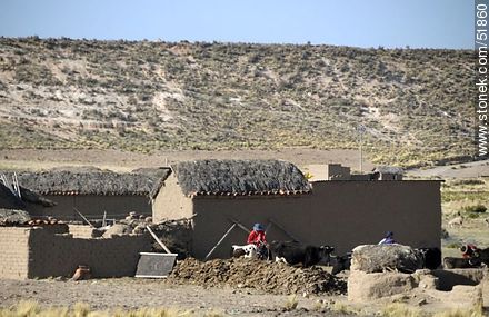Viviendas rurales altiplánicas con ganado vacuno - Bolivia - Otros AMÉRICA del SUR. Foto No. 51860