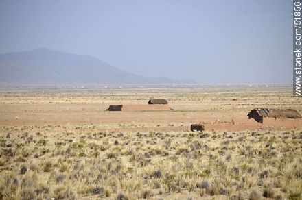 Altiplano plain - Bolivia - Others in SOUTH AMERICA. Foto No. 51856