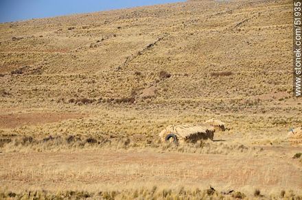 Campo altiplánico boliviano en Ruta 1. - Bolivia - Otros AMÉRICA del SUR. Foto No. 51935