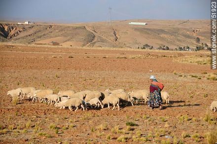 Campesina boliviana con su rebaño de ovejas - Bolivia - Otros AMÉRICA del SUR. Foto No. 51923