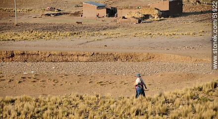 Female Bolivian Peasant  - Bolivia - Others in SOUTH AMERICA. Foto No. 51922