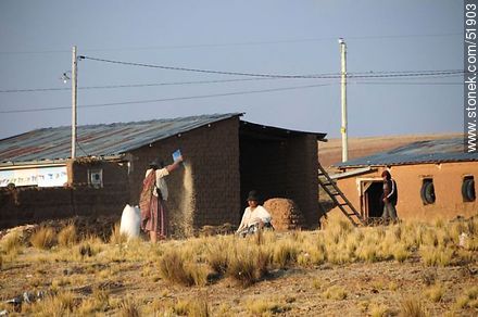 Campesinas en trabajo de campo boliviano - Bolivia - Otros AMÉRICA del SUR. Foto No. 51903