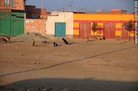 Nazo Cruz, Route 1, Bolivia.  - Bolivia - Others in SOUTH AMERICA. Photo #51888