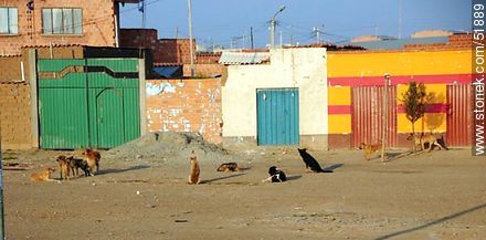 Nazo Cruz, Route 1, Bolivia.  - Bolivia - Others in SOUTH AMERICA. Foto No. 51889