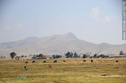 Farming community on Route 2 - Bolivia - Others in SOUTH AMERICA. Foto No. 52751