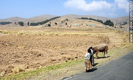 Bolivian farmers by the roadside. - Bolivia - Others in SOUTH AMERICA. Photo #52677