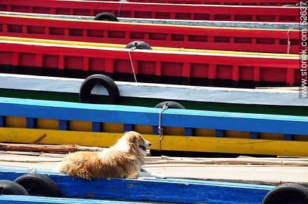 Estrecho de Tiquina. Chatas para el cruce de vehículos a la otra orilla. Perro descansando en una de ellas. - Bolivia - Otros AMÉRICA del SUR. Foto No. 52637