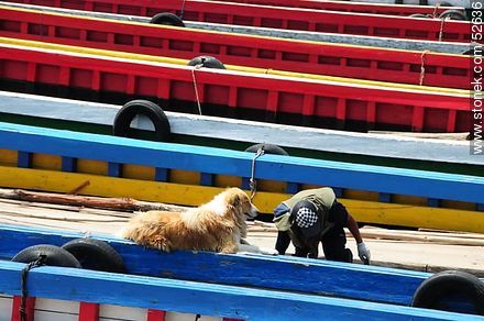 Estrecho de Tiquina.  Chatas para el cruce de vehículos a la otra orilla. Perro descansando en una de ellas. - Bolivia - Otros AMÉRICA del SUR. Foto No. 52636