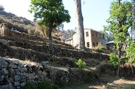 Antiguas terrazas tihuanaco e inca para cultivos - Bolivia - Otros AMÉRICA del SUR. Foto No. 52427