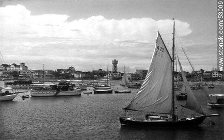 Old photo of the Port of Punta del Este - Punta del Este and its near resorts - URUGUAY. Photo #53009