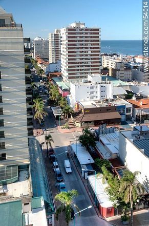 Calle 22 Gorlero, principal avenida de Punta del Este desde lo alto de un edificio - Punta del Este y balnearios cercanos - URUGUAY. Foto No. 54014