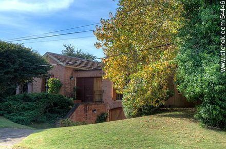 Otoño en Punta del Este - Punta del Este y balnearios cercanos - URUGUAY. Foto No. 54446