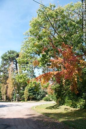 Otoño en Punta del Este - Punta del Este y balnearios cercanos - URUGUAY. Foto No. 54441