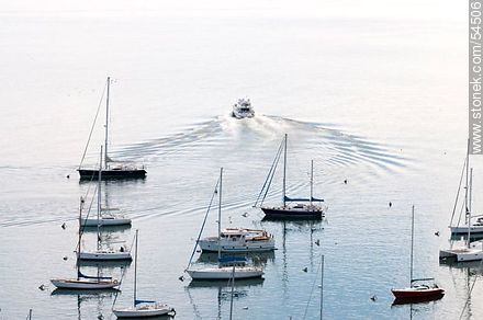 Port of Punta del Este. Aerial view. Sailboats moored. - Punta del Este and its near resorts - URUGUAY. Foto No. 54506