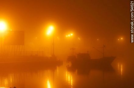 Misty dawn - Punta del Este and its near resorts - URUGUAY. Photo #54621