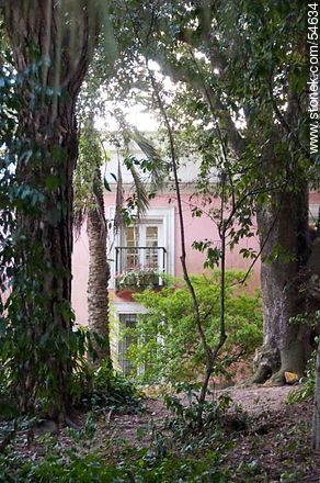 Museum of Arboretum Lussich from the park with ancient plant species - Punta del Este and its near resorts - URUGUAY. Foto No. 54634